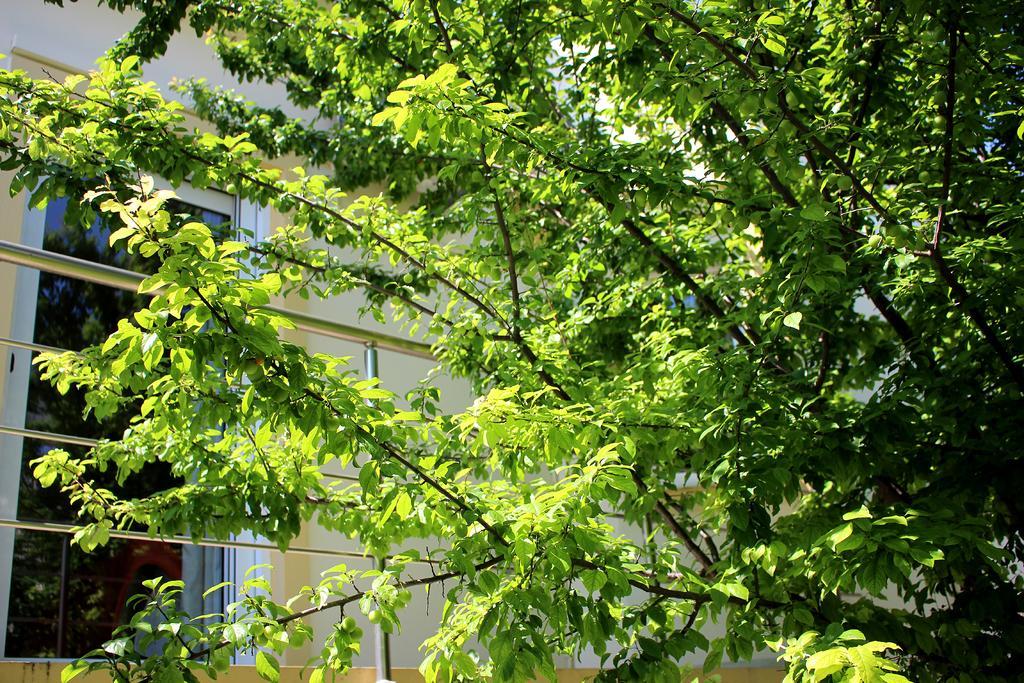 Villa Sofia Filoxenia House Kalyves Exterior foto